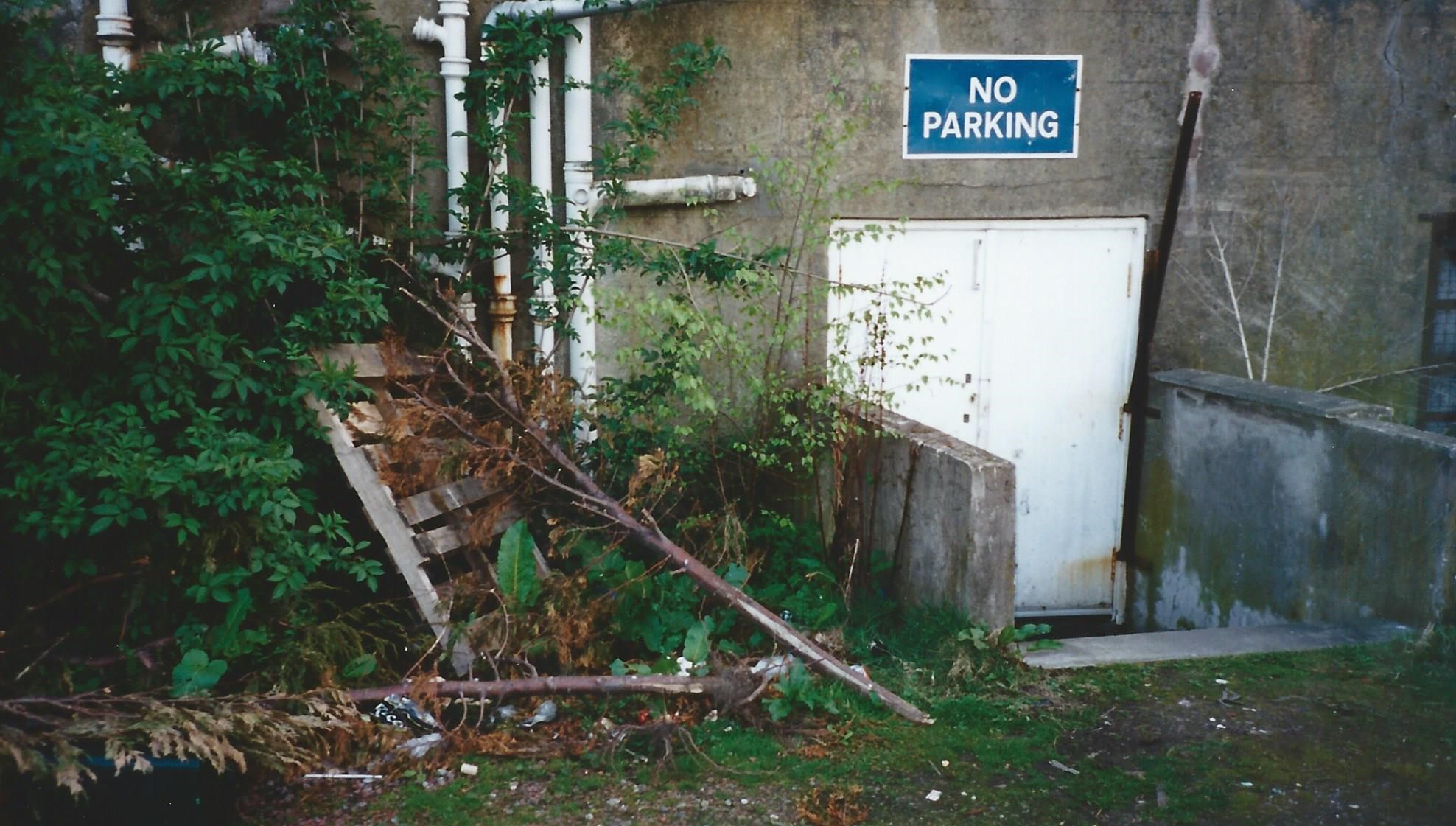 wedb 20 yrs 8 - Copy