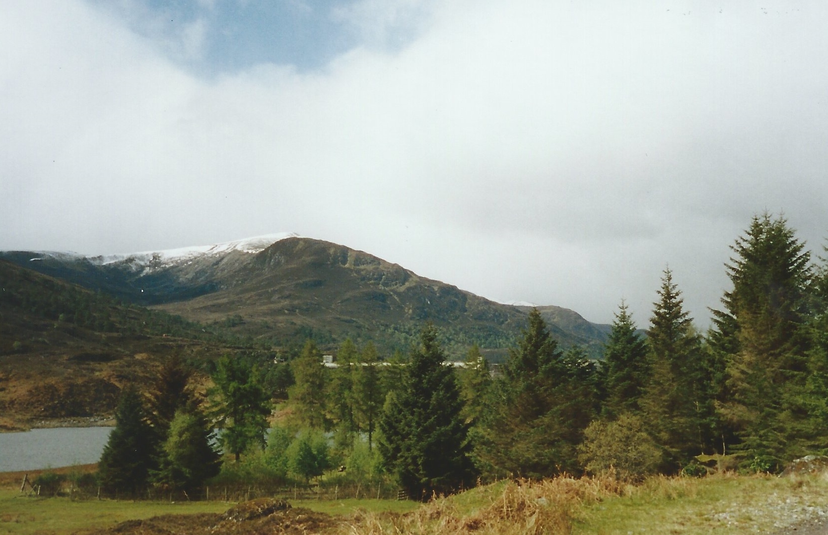 SCAN0077