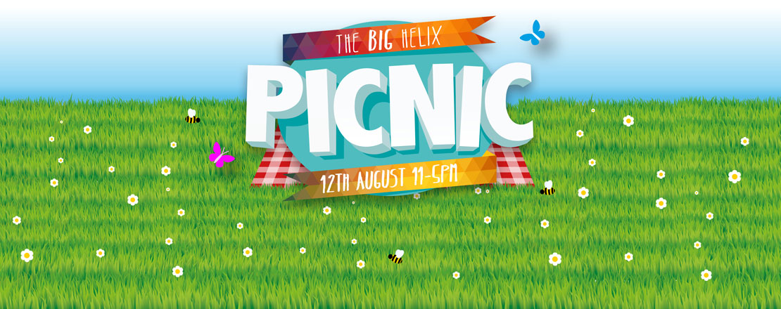 big picnic
