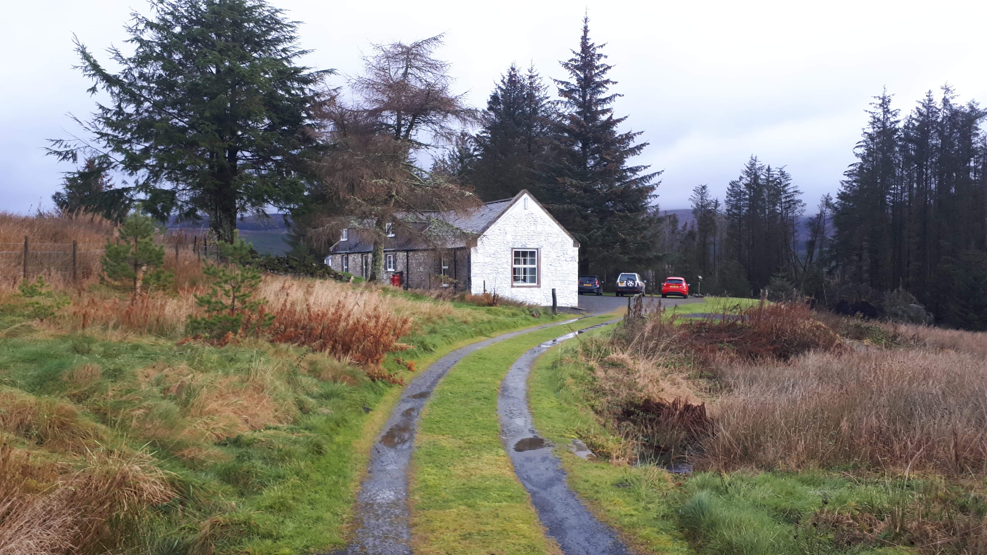 received_408841173339171